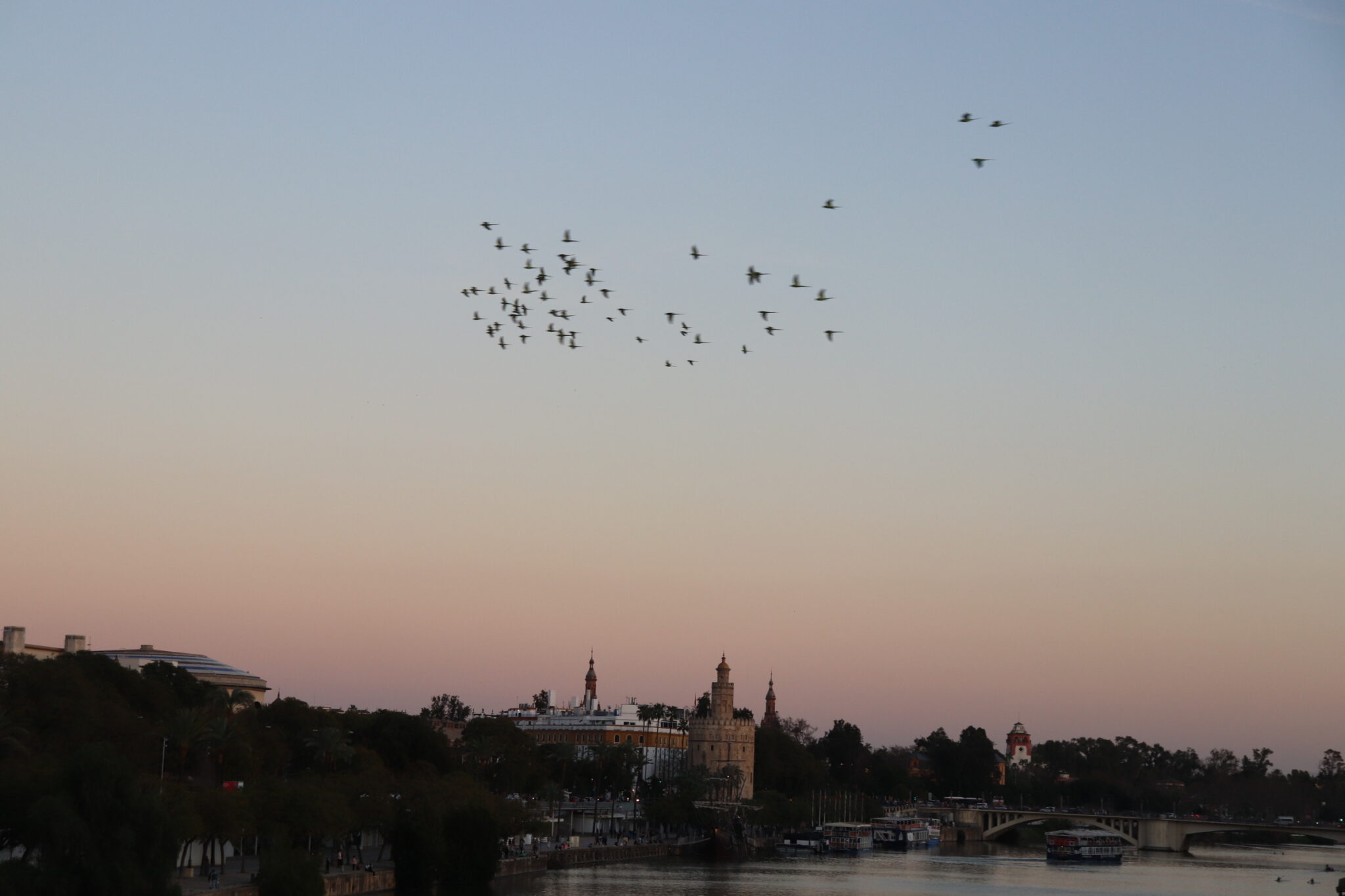 Torre del Oro