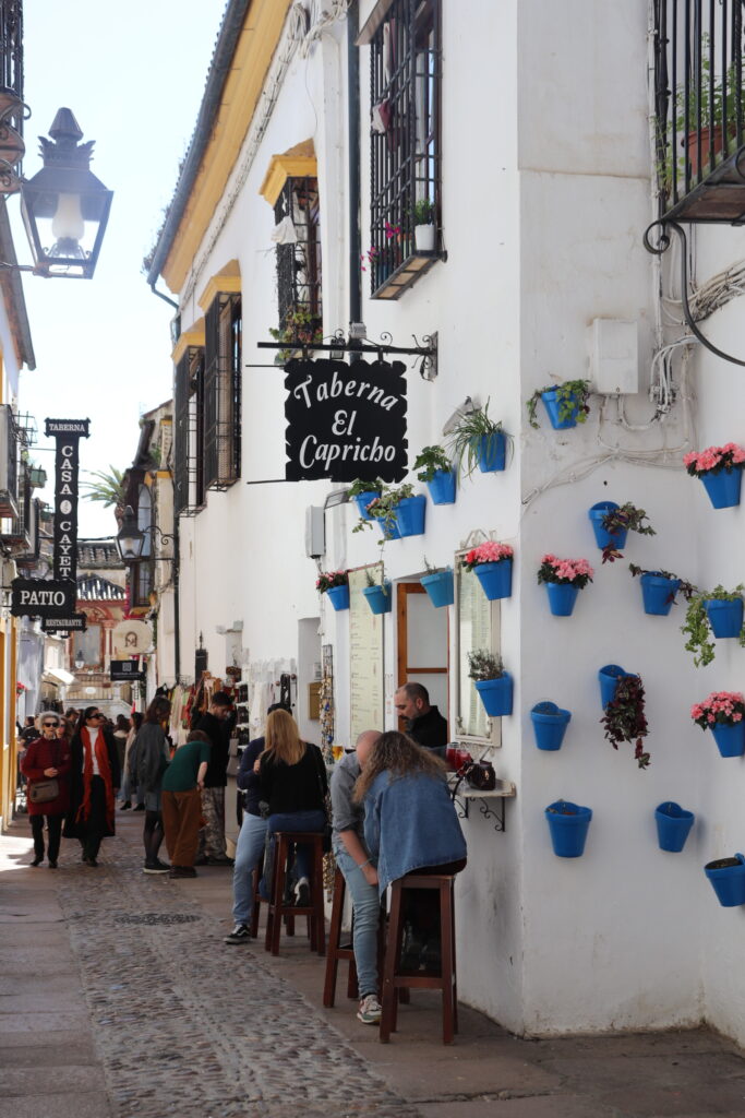 Flores 3