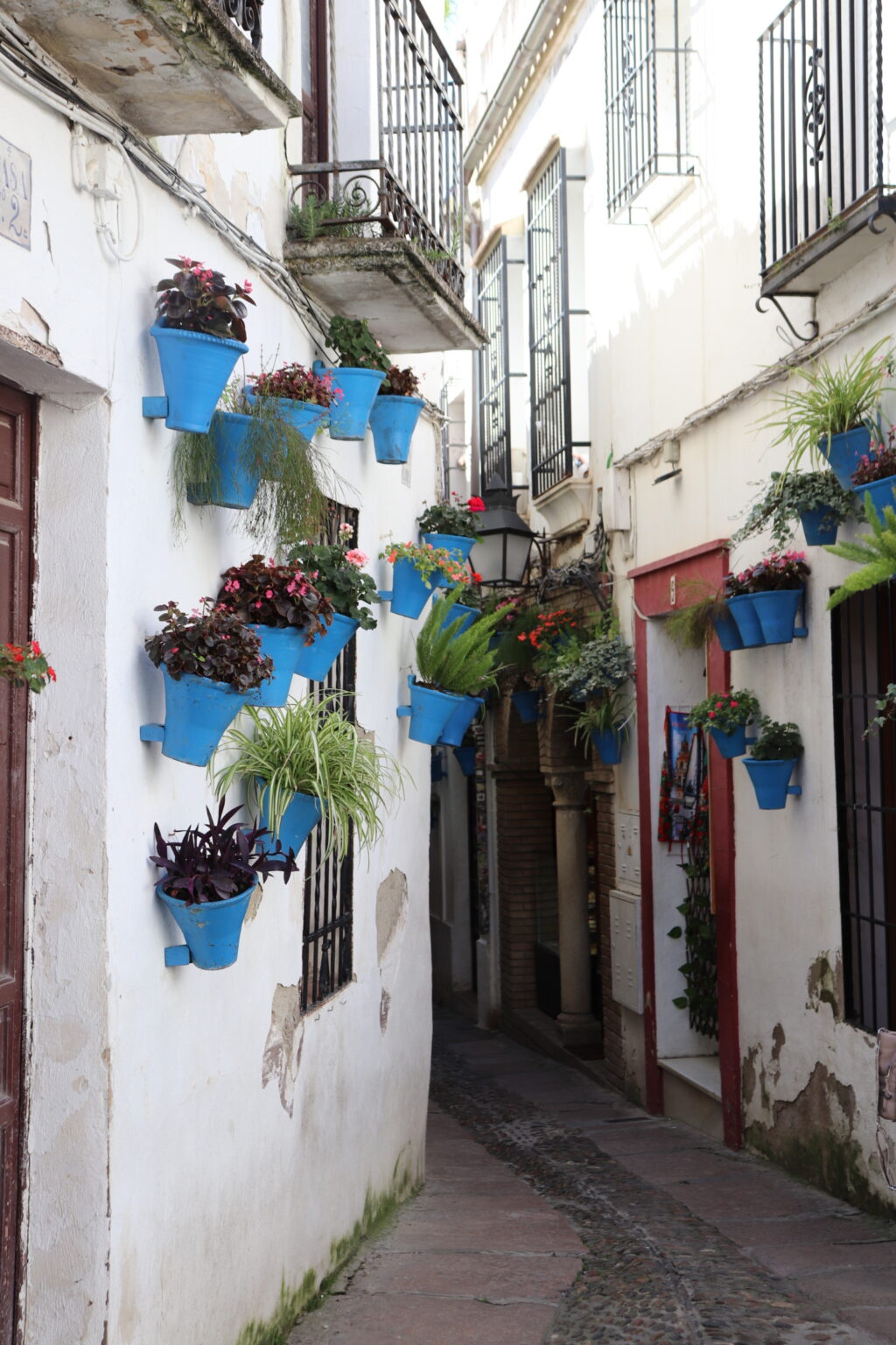 Flores 2