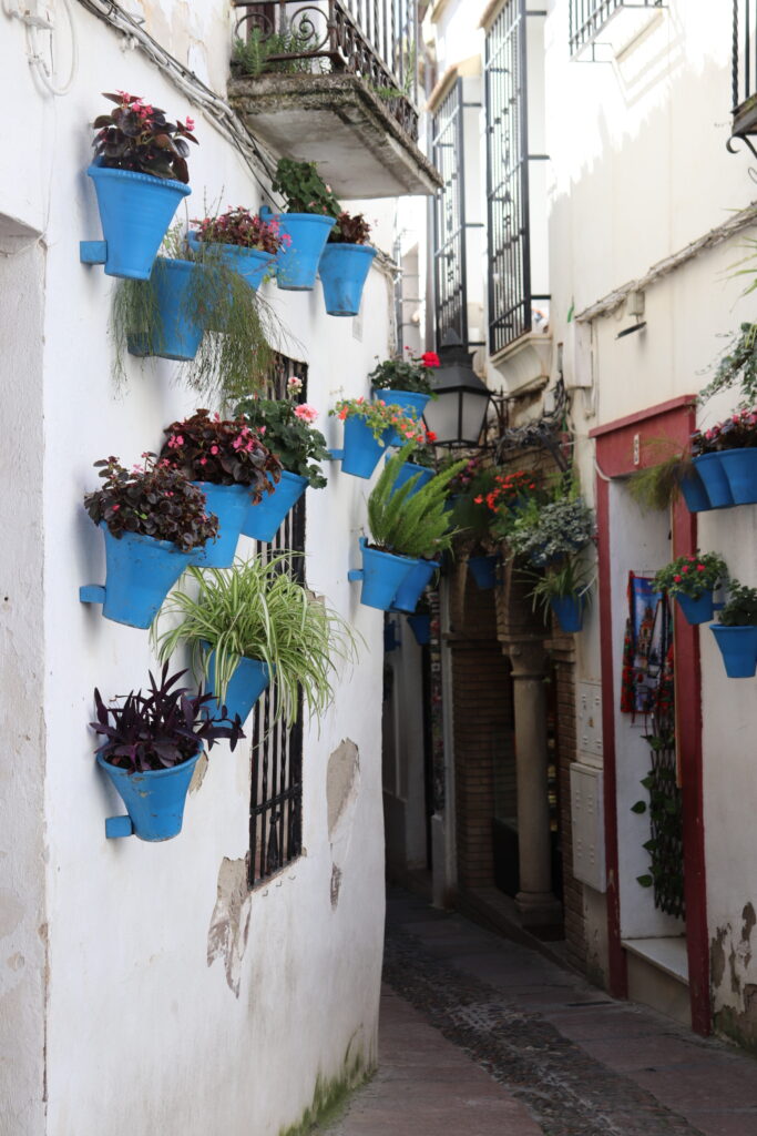 Cordoba jewish area