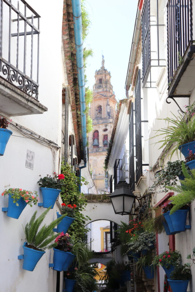 Flores 1